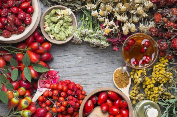 Ebereschen, Hagebutten und verschiedene Heilpflanzen-Wurzeln werden im Herbst gesammelt. © browneyesboyua - Fotolia.com Ebereschen, Hagebuttenfrüchte, Kamille und Schafgarbe auf einem Holzbrett.
