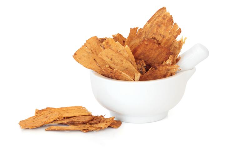 Astragalus wirkt regulierend auf das Immunsystem PhytoDoc