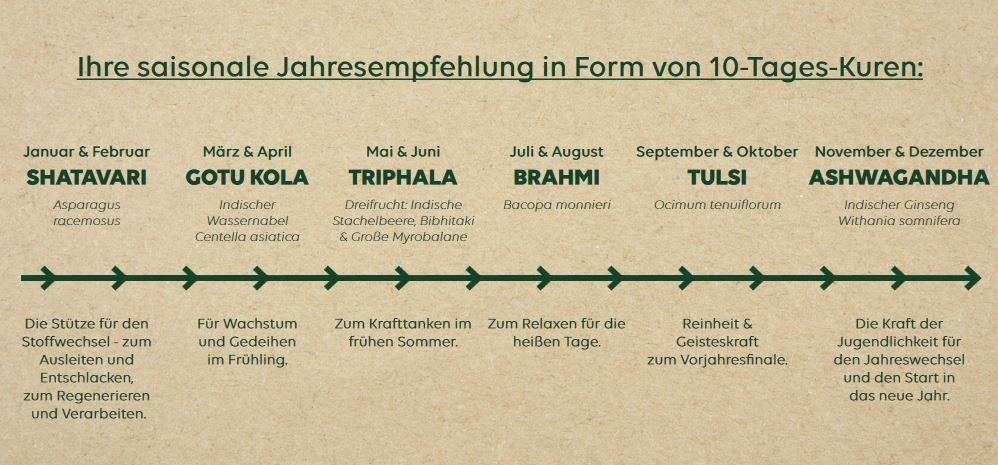 Grafik: Ihre saisonale Jahresempfehlung in Form von 10-Tages-Kuren.