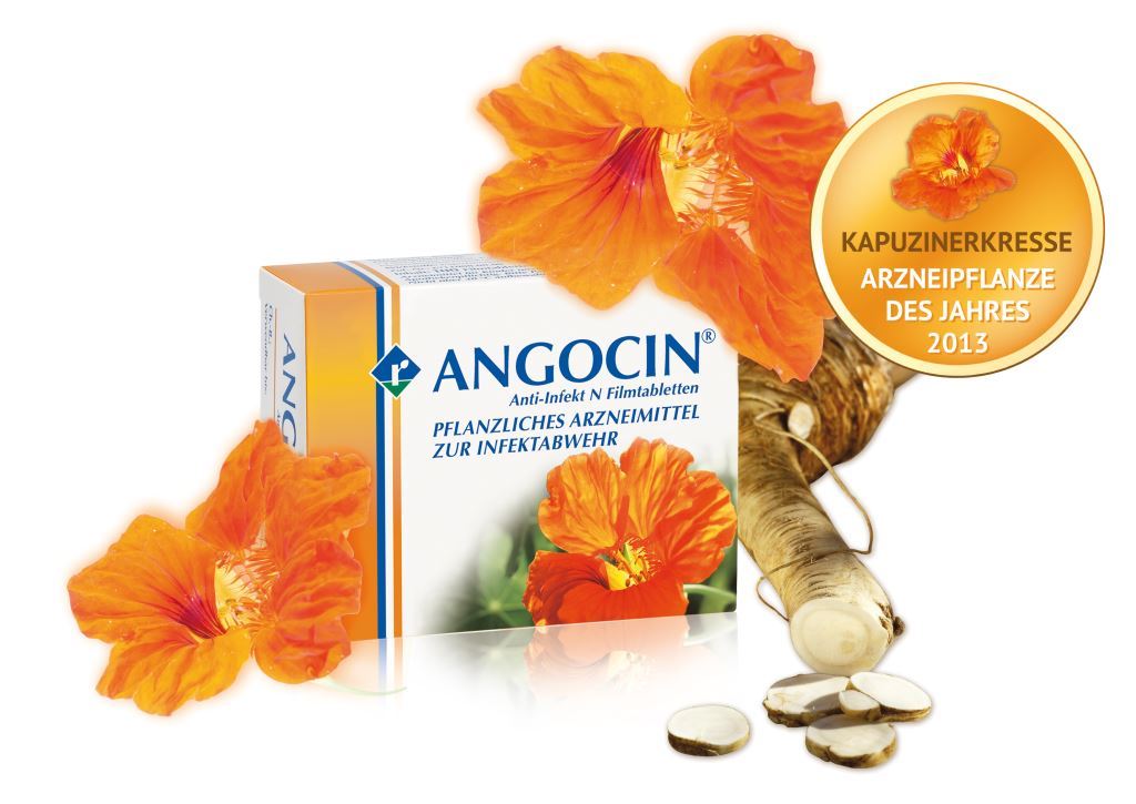Was hilft bei Blasenentzündung? ANGOCIN! PhytoDoc