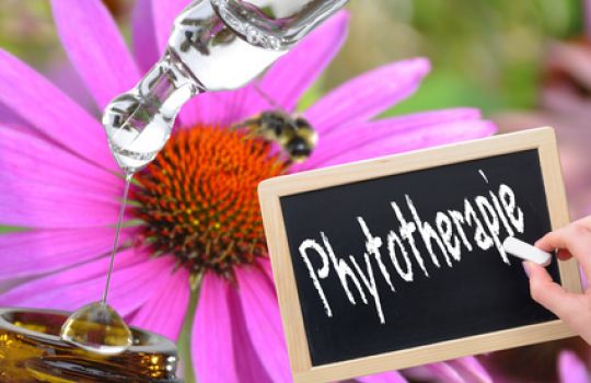 Blume, davor Glaspipette, daneben eine Kreidetafel mit dem Schriftzug 