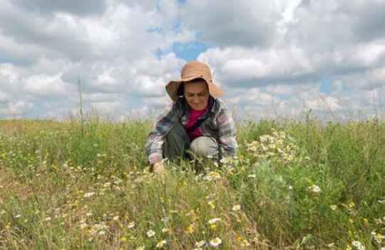 Frau mit Hut hockt in Blumenwiese.