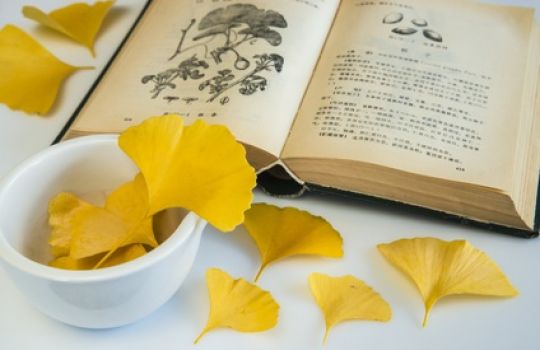 Gelbe Ginkgo Blätter in Schälchen neben Buch