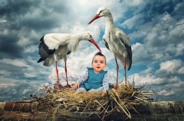 Ein Baby sitzt in einem Nest zwischen zwei Störchen.