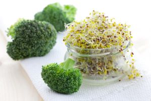 Broccoli und Sprossen von Broccoli auf einem weißen Tuch.