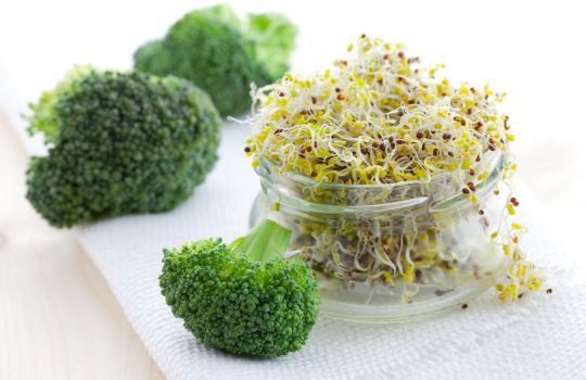 Broccoli und Sprossen von Broccoli auf einem weißen Tuch.
