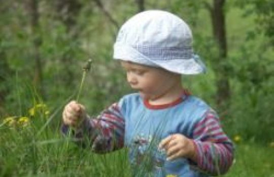 Eine grüne Wiese im Frühling kann für Allergiker auch durchaus unangenehm werden.