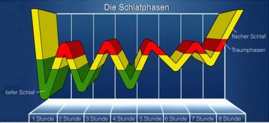 Grafik der Schlafstadien: tiefer Schlaf, Traumphasen und flacher Schlaf.