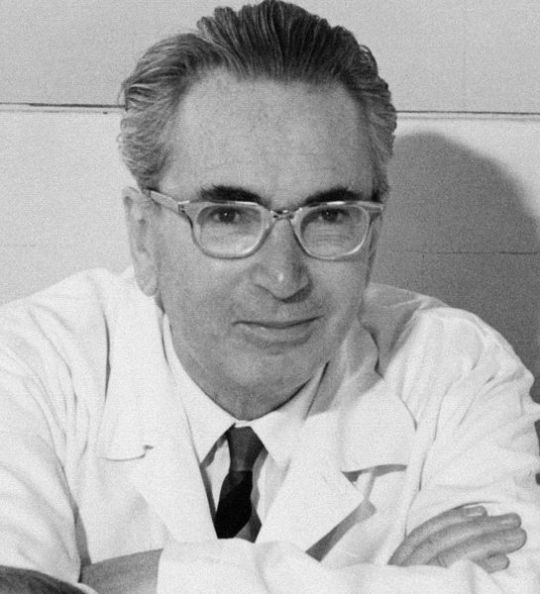 Portaitfoto von Viktor Frankl