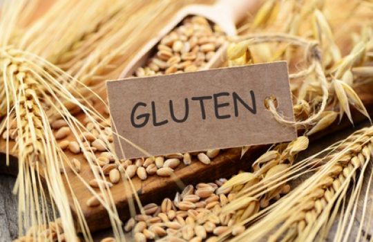 Gluten