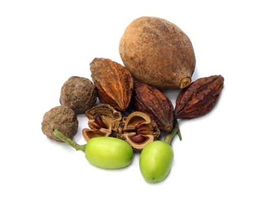 Triphala, eine indische Kräuterkombination aus drei Früchten