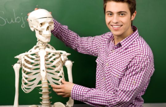 Ein junger Mann beschäftigt sich mit einem Skelet.
