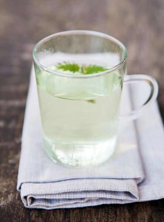 Heller Brennnesseltee in einem Glasbecher mit Brennnessel. 