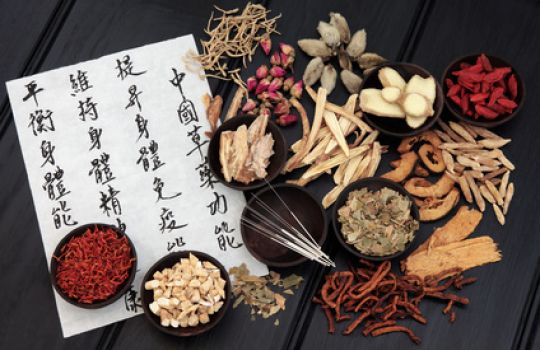 Gewürze und Heilpflanzen spielen auch in der Traditionellen Chinesischen Medizin eine Rolle.
