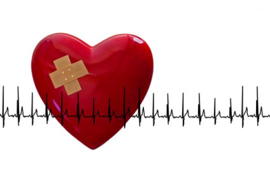 Schlägt das Herz nicht mehr richtig im Takt hilft die Behandlung von psychosomatischen Ursachen, um das Herz zu reparieren.