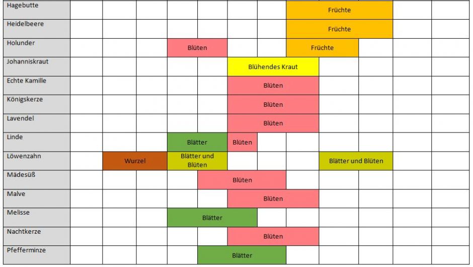 Tabelle, vertikal: Pflanzen, horizontal: Monate