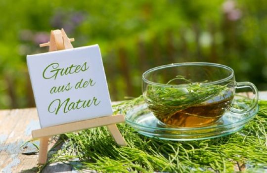 Heilpflanzen-Tees gegen Rheuma - PhytoDoc