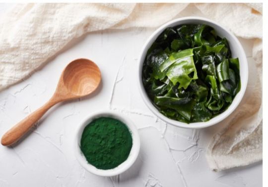 Foto einer Schale gemahlenem und frischem Kelp, ein Holzlöffel.