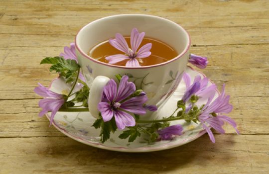Eine Tasse Tee, verziert mit Malven.