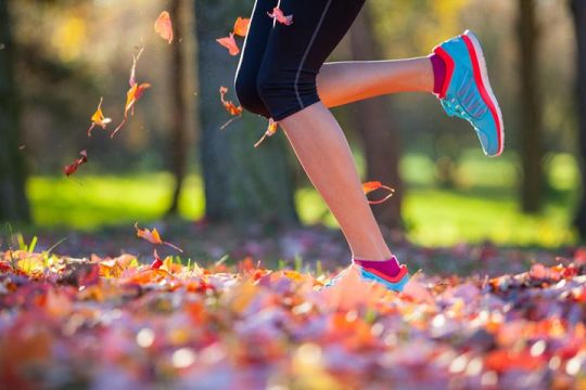 Im Herbst macht das Joggen besonders Spaß.