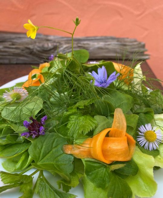 Fotografie eines Salats mit Braunellenblüten.