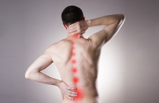 Rückenschmerzen sind vielfältig und können an verschiedenen Stellen auftreten.