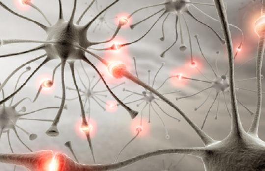 Ist die Kommunikation der Nervenzellen im Gehirn gestört, kann die epileptische Anfälle auslösen. 