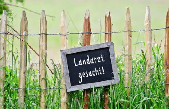 Ein Schild mit der Aufschrift Landarzt gesucht hängt an einem Holzzaun.