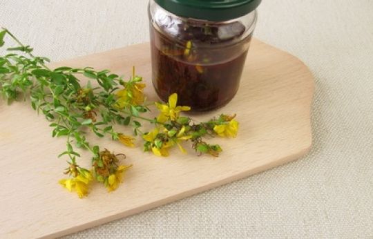 Johanniskraut und daraus hergestelltes Rotöl im Glasbecher.