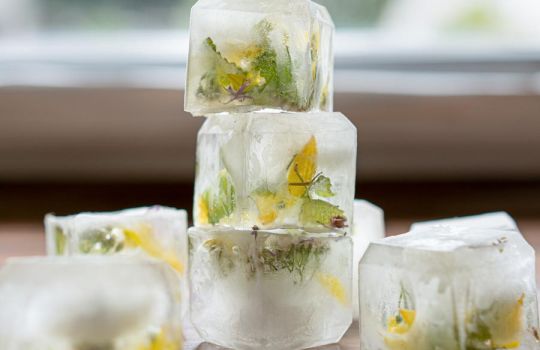 Eiswürfel mit schönen Blüten. 