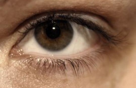 Legen sich Schleier über das Blickfeld des Auges ist dies ein Symptom für Grauen Star.