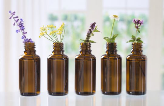 Fünf braune Glasflaschen mit einzelnen Heilpflanzen wie Salbei oder Pfefferminze.