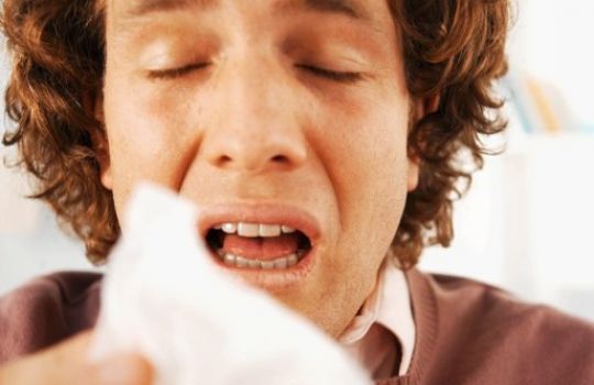 Ständiges Niesen und eine laufende Nase sind die bekanntesten Symptome eines Schnupfens. 