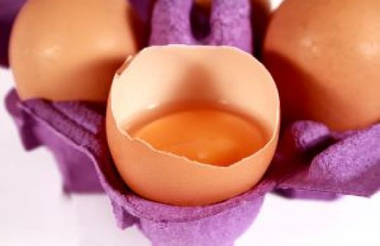 Eier gelten als cholesterinreiches Nahrungsmittel und sollten deswegen mit Bedacht genossen werden.